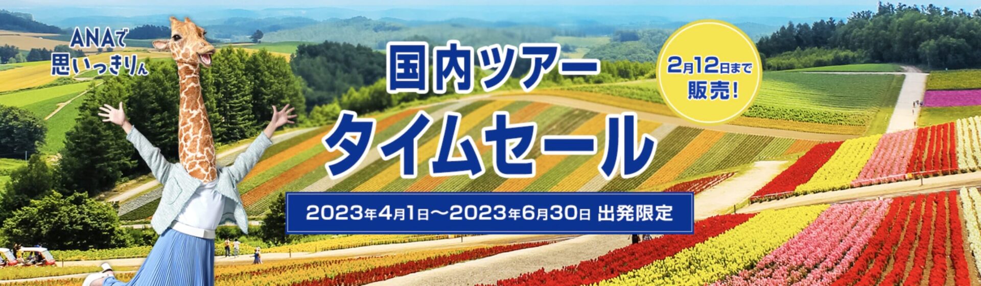 ANAスカイコインの使い道として国内ツアーに変える選択肢がある